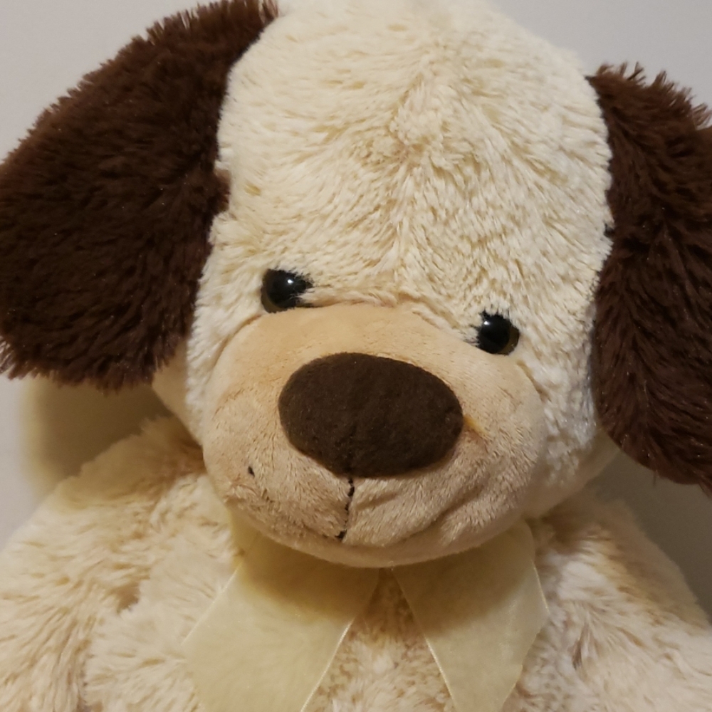 Bear - Picture 4 of 8